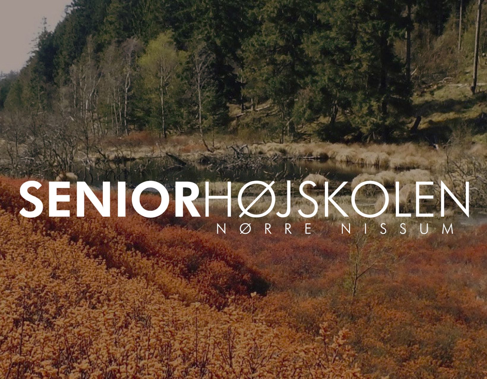 Grafisk Tryk har designet logo til Seniorhøjskolen samt lavet hjemmeside, skiltning, hæfte...