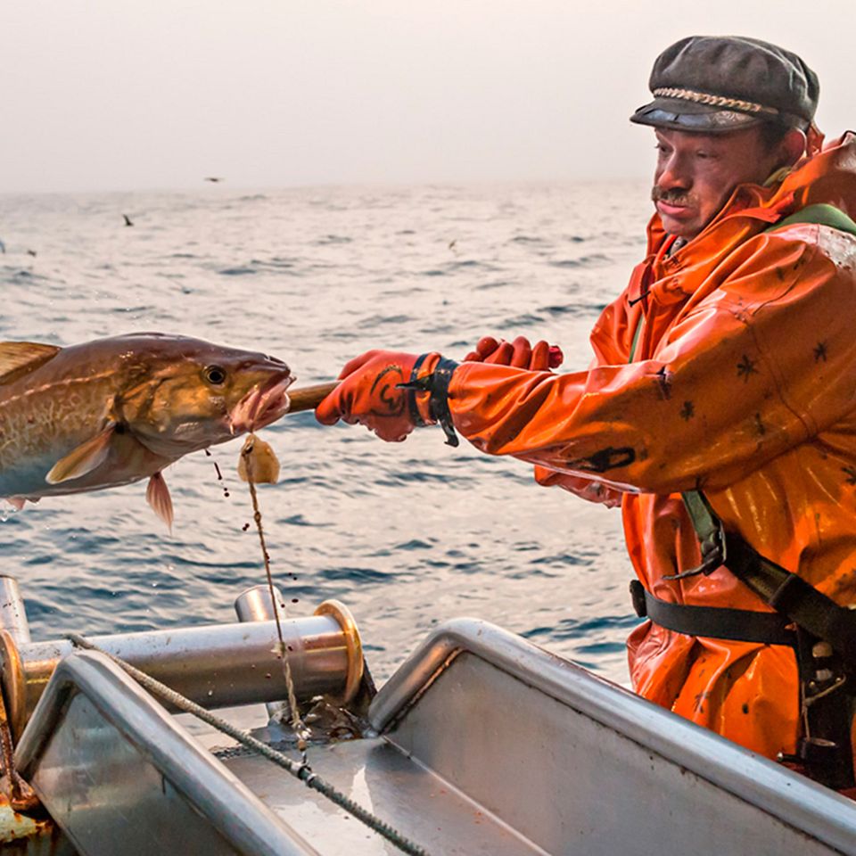 Under navnet Havet's lancerer Jeka Fish på havnen i Lemvig nu nye fiskeprodukter til de danske forbrugere.