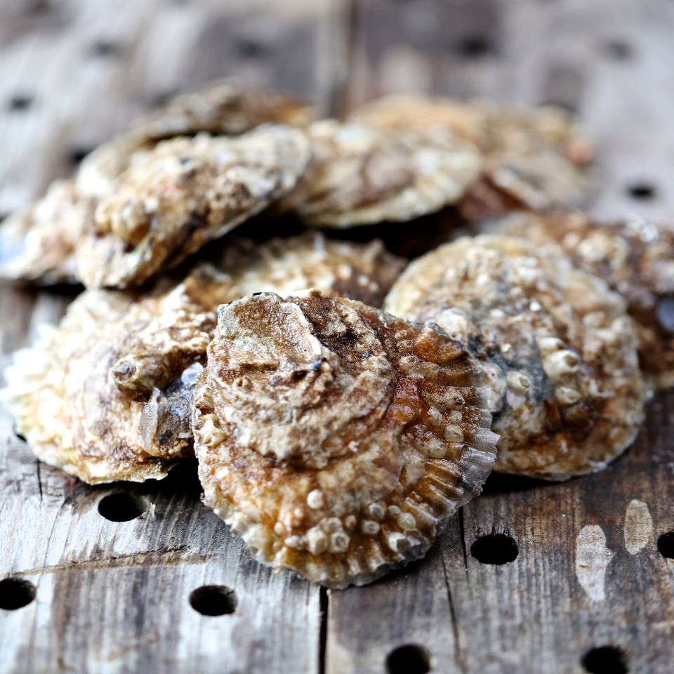 Margrete Moore fra Fish & Moore og fiskerestauranten Sommerfisk i Fjand Badeby kan få selv den mest skeptiske gæst til at spise østers. 