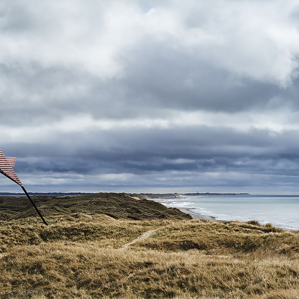 Ny webshop vil bringe naturen indenfor i form af fotokunst med blandt andet vestjyske motiver. 