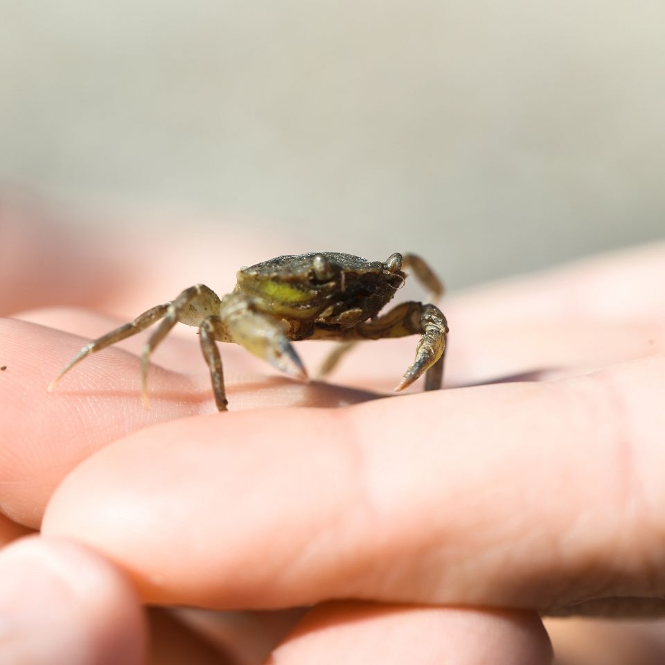 Vi sendte en børnefamilie på en 24 timers safari i geoparken.