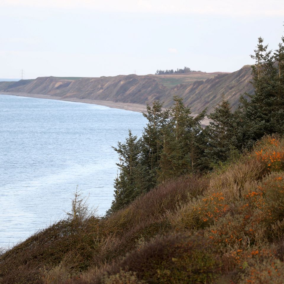 Holstebro, Struer og Lemvig kommuner er med Geopark Vestjylland på vej op i vestkyst-turismens superliga, men Geoparken handler også om meget andet.