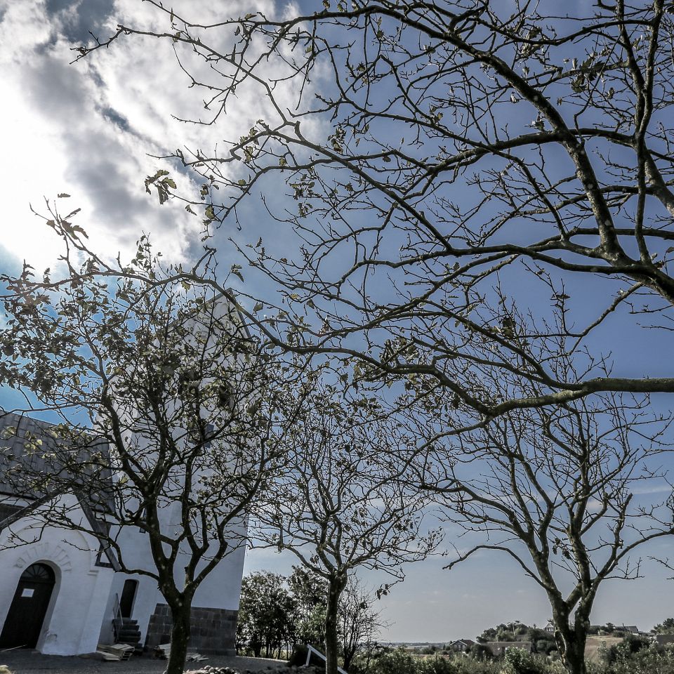 Indretningen af en kirkegård er ikke noget, som en graver eller et menighedsråd laver om fra dag til dag.