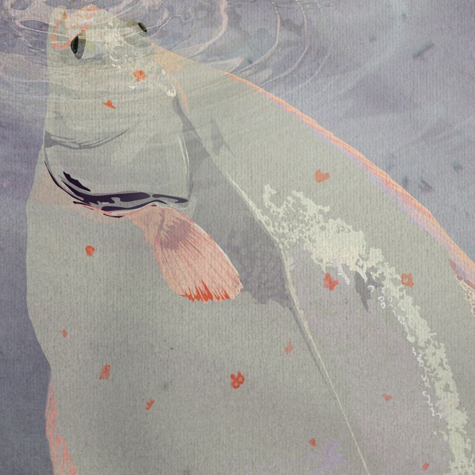 Vestjylland bugner af mad, der er hente lige uden for køkkendøren