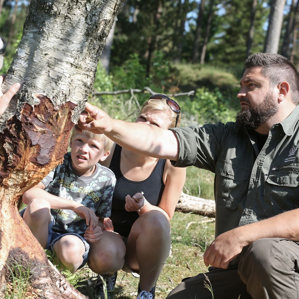 Efter flere års forarbejde er det i disse måneder, at fremtiden for Geopark Vestjylland afgøres.
