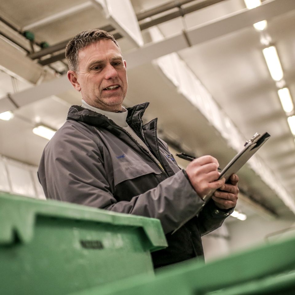 Magasinet har været med i auktionshallerne i Hvide Sande i de tidlige morgentimer, hvor dagens fangster fra Nordsøen gøres klar til salg