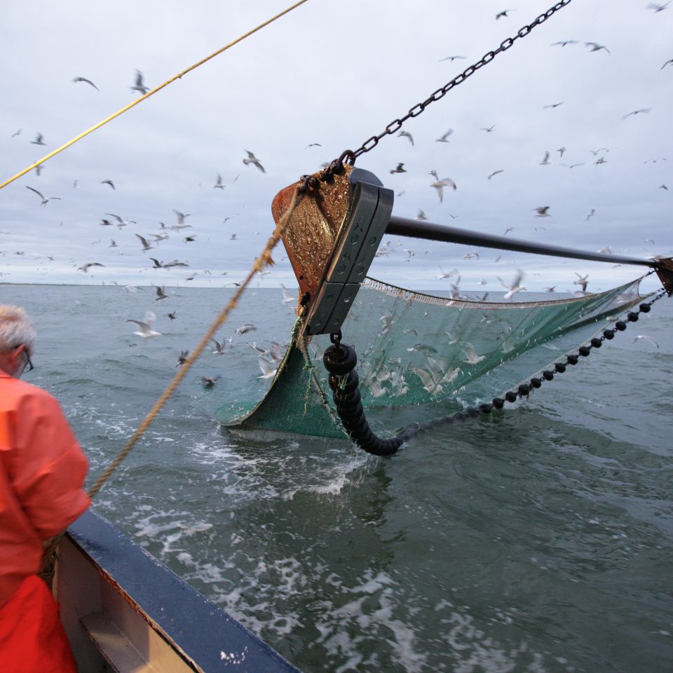 RI 426 Mette Janni fisker rejer langs vestkysten, men benyttes i stigende grad også til at fange spisefisk