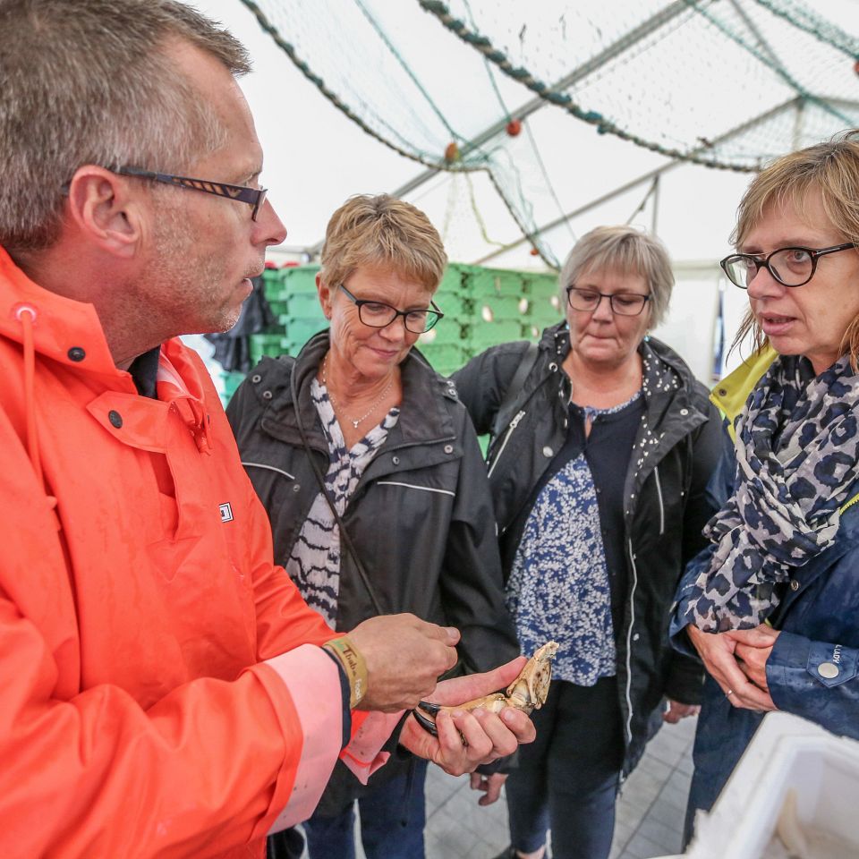 Kan kommunale storkøkkener med beskedne budgetter og madordninger, hvor borgerne selv varmer maden op, sætte friskfanget fisk fra Nordsøen på menuen? 