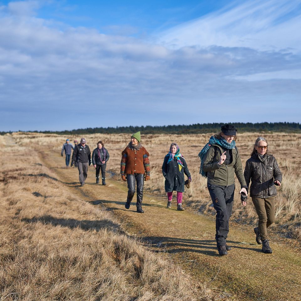 Ny vandrerute i Husby Klitplantage...