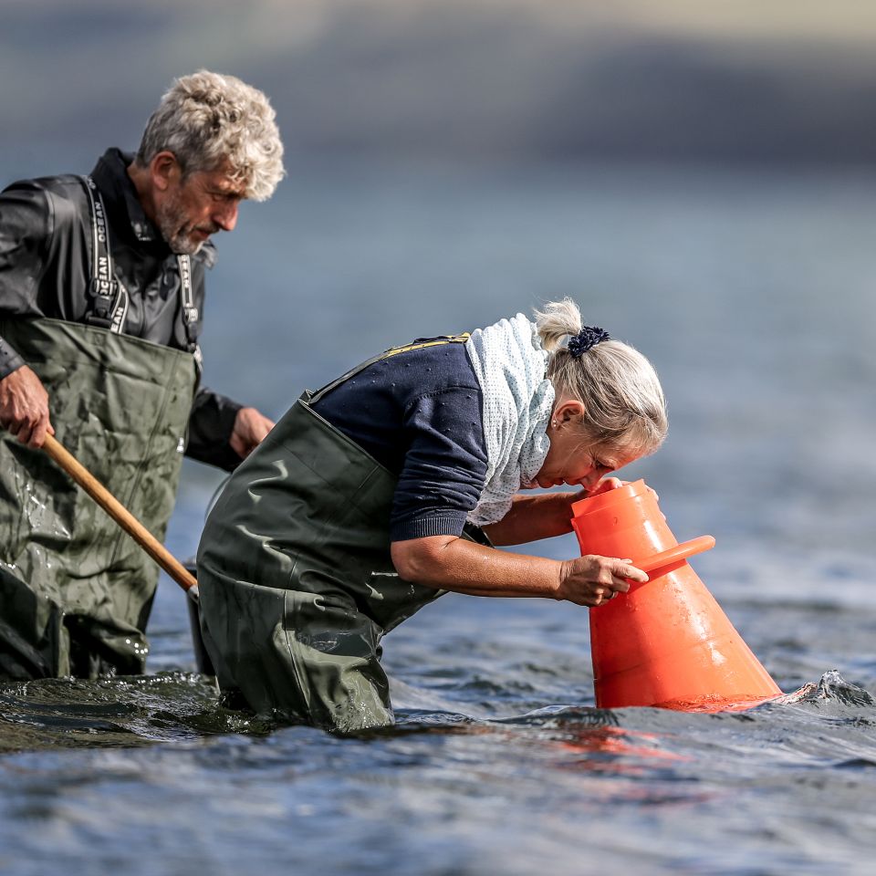 Vi er vilde med at komme ud og opleve naturen på helt tæt hold. JyllandsAkvariet i Thyborøn har gennem en årrække haft et fast og voksende tur-program...