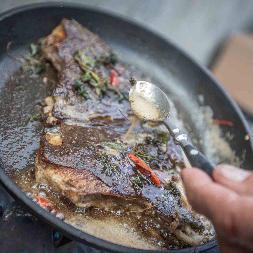 Vi vil rigtig gerne ud i naturen, og vi vil helst mærke den, smage og føle. Det oplever blandt andet JyllandsAkvariet i Thyborøn