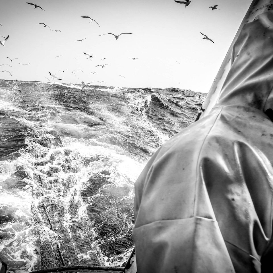 Tv-serien ’Vestkystfiskerne’ har været med til at vise, at fiskerne i Thyborøn, Thorsminde og Hvide Sande hverken er små kuttere eller de største fiskefartøjer...