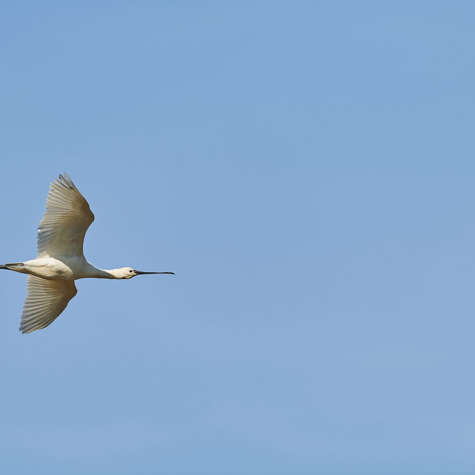 Tre havneoplevelser til lystsejlere - en artikel om Lemvig Kommunes tre lystbådehavne: Lemvig Havn, Lemvig Marina og Thyborøn Lystbådehavn