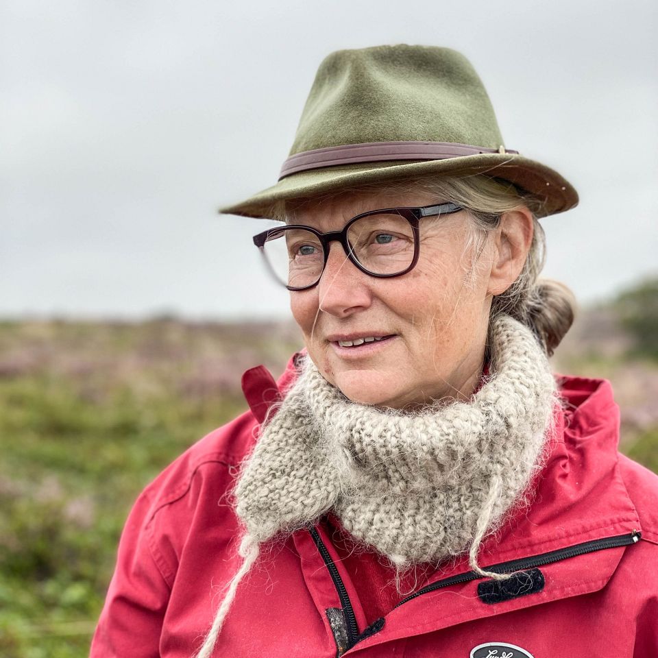 Fårehyrde Annette Holmenlund skaber lys og luft til lyng og sjældne planter på fortidsmindet Øster Lem Hede 