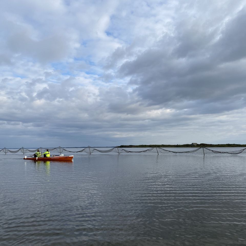 Roning på åbent vand giver store naturoplevelser og meget motion.