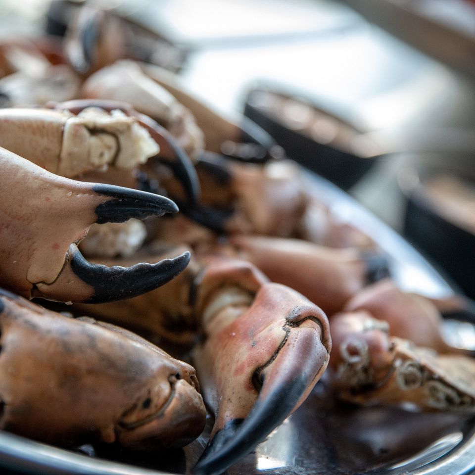 JyllandsAkvariet har åbnet ny pavillon nær det gamle færgeleje i Thyborøn