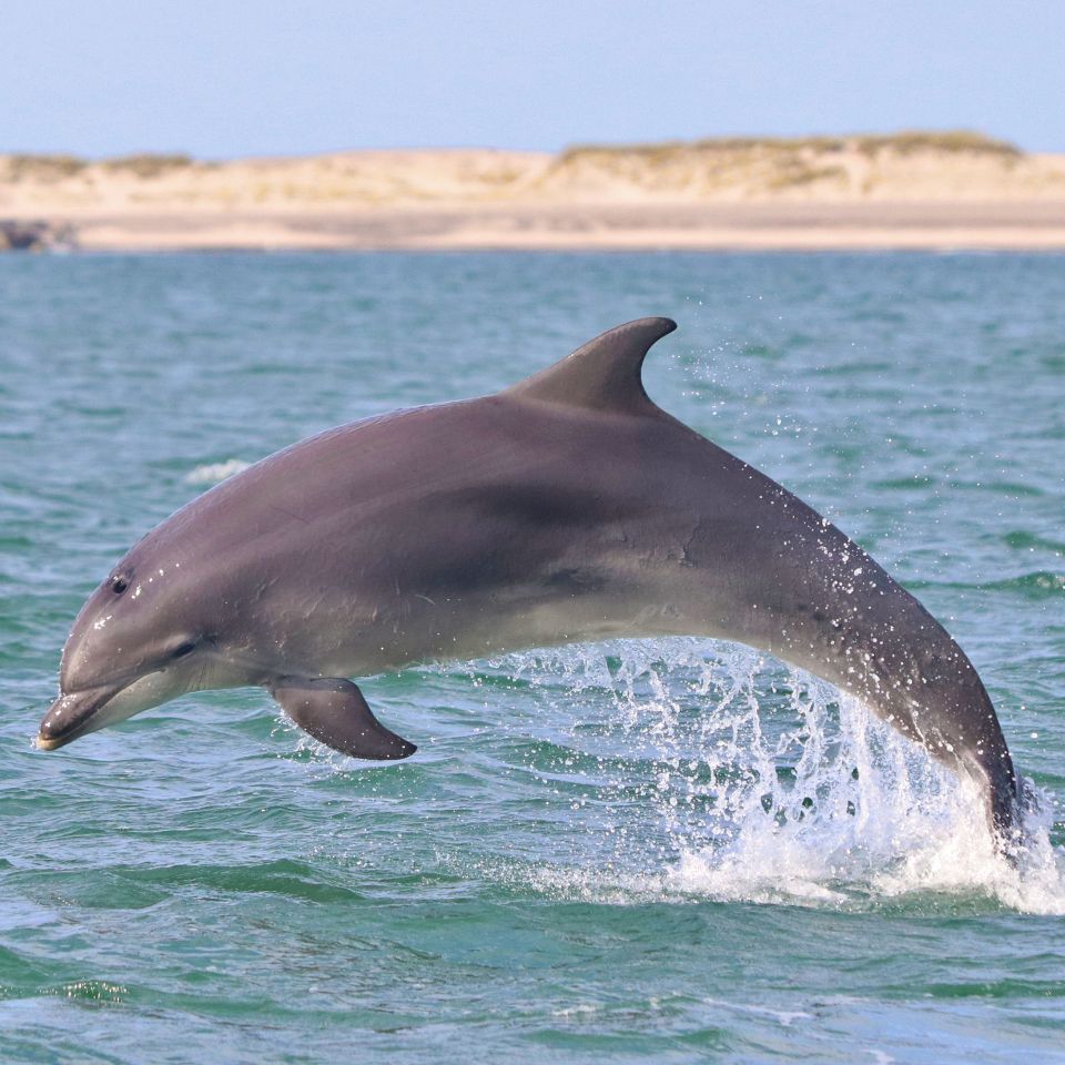 Rejekutter i Thyborøn Havn. Foto: Johan Gadegaard