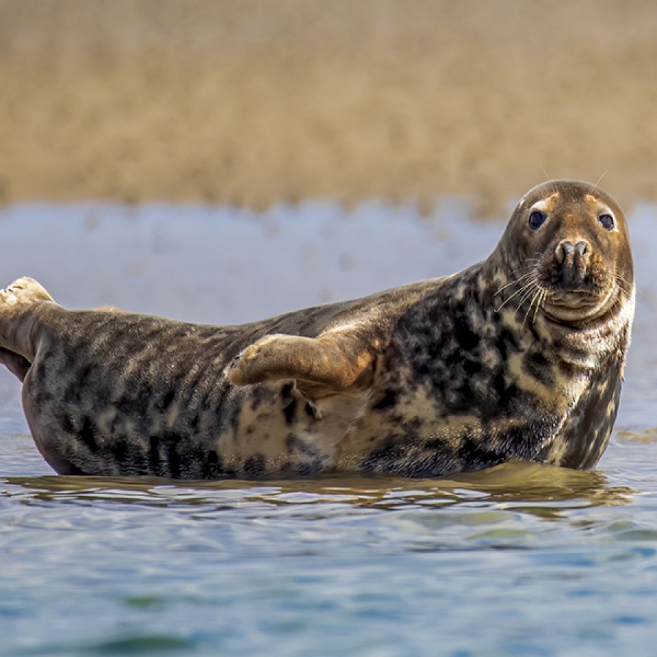 Rejekutter i Thyborøn Havn. Foto: Johan Gadegaard