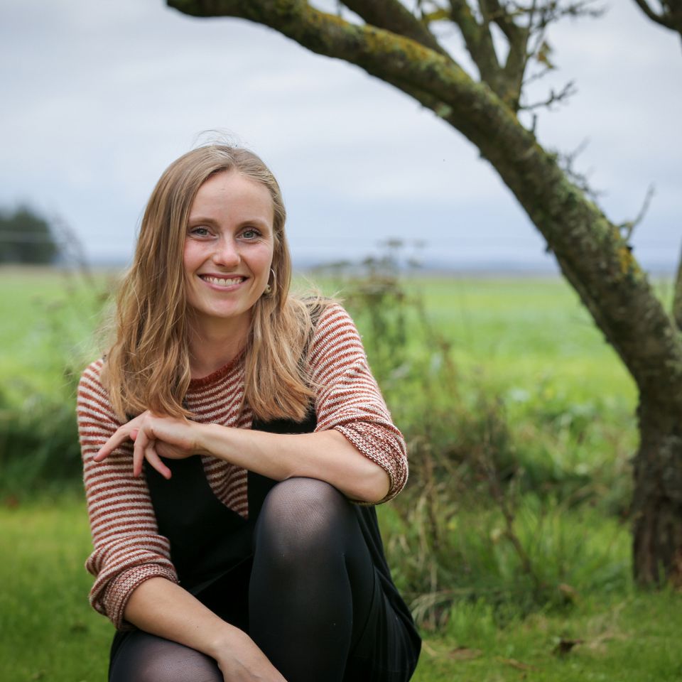Rejekutter i Thyborøn Havn. Foto: Johan Gadegaard