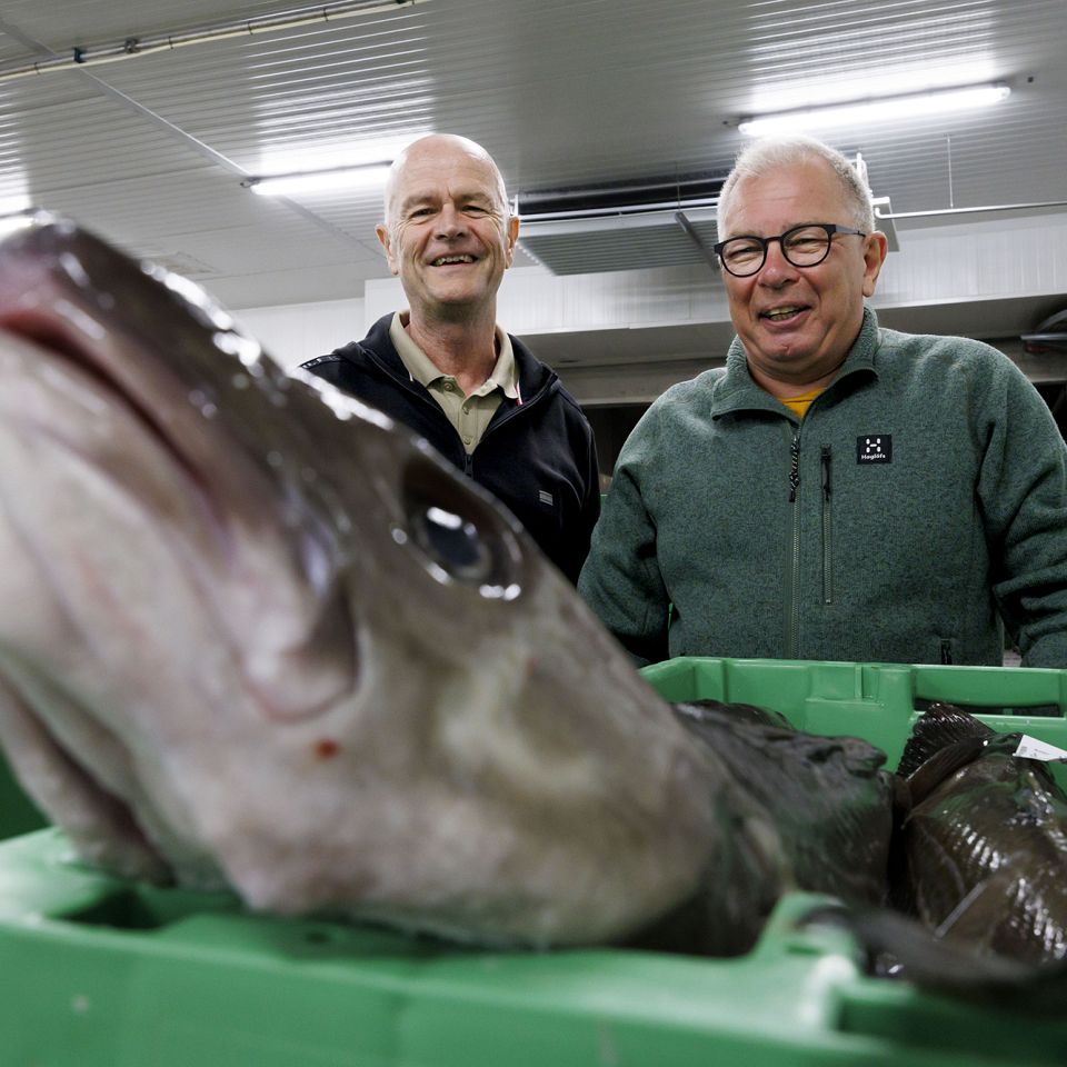 På Lemvig Gymnasium har de Flemming Ertbølle Madsen søsat en drøm om elever under sejl. 