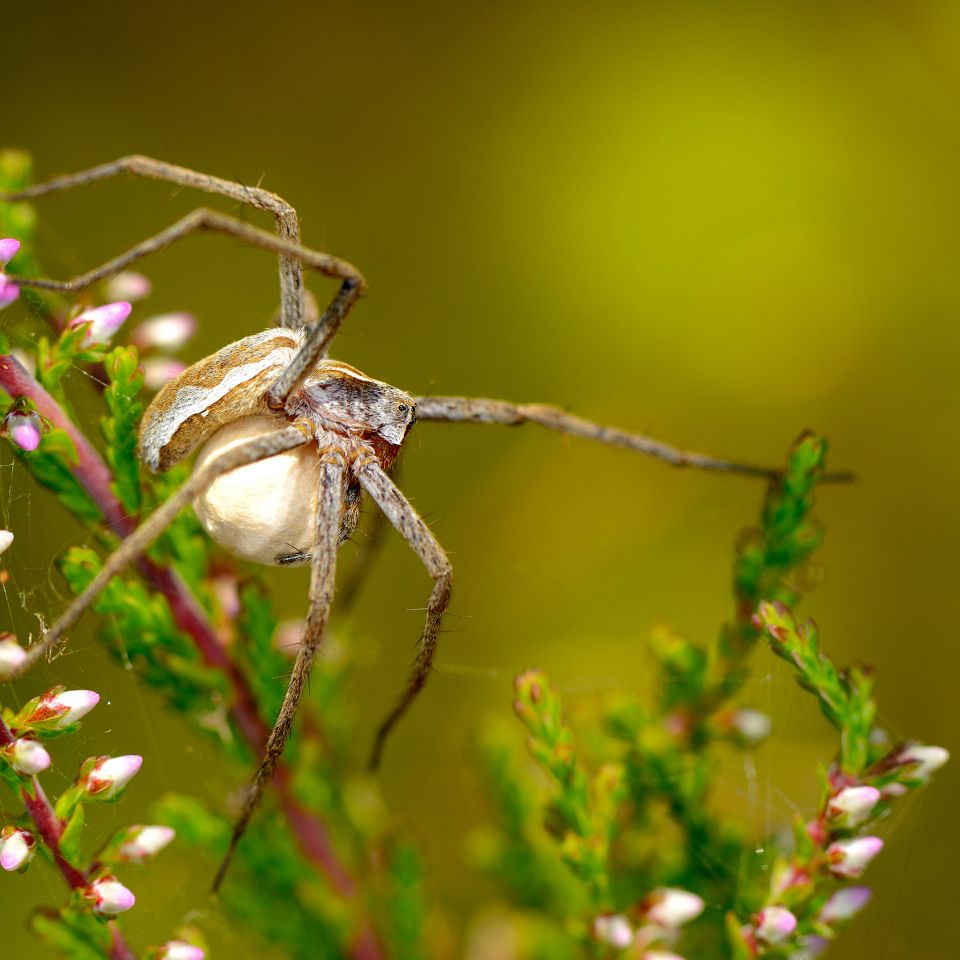 Rejekutter i Thyborøn Havn. Foto: Johan Gadegaard