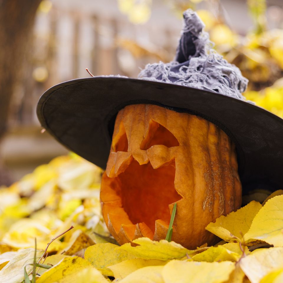 Lemvig ruller sig ud i oktober. Allerede inden børnene går på efterårsferie, bliver byen lidt efter lidt pyntet op til Halloween.