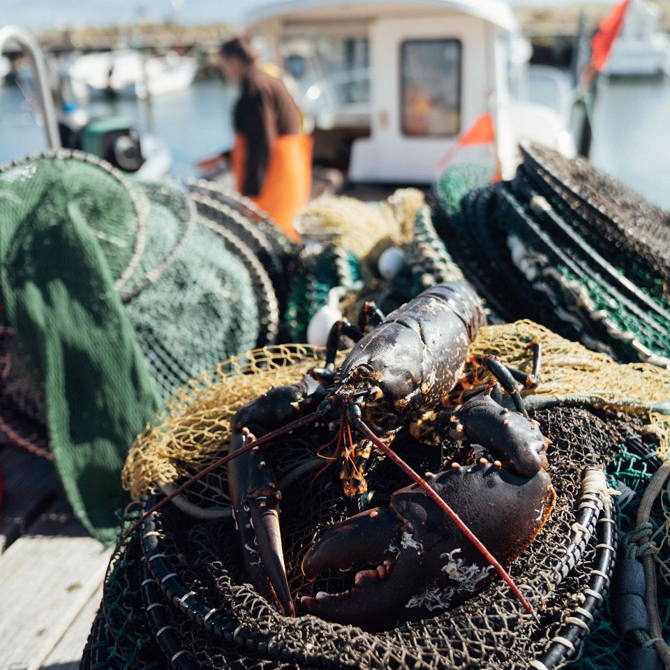 Handelsliv i Lemvig og Thyborøn er vævet samme med alt godt fra hav og jord...