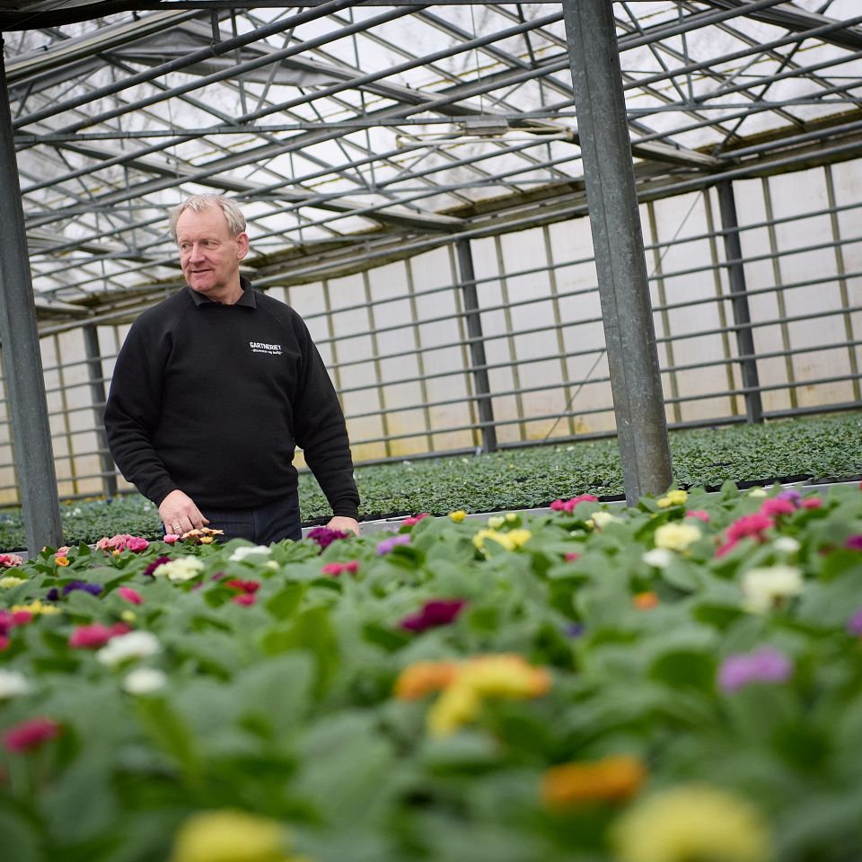 Gartneriet Lemvig har været igennem noget af en transformation...