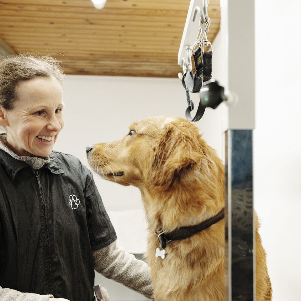 ”Skubidu Hundesalon” i Bøvling sørger for velvære til de vestjyske hunde