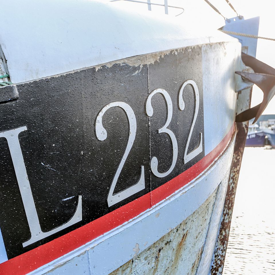 Rejekutter i Thyborøn Havn. Foto: Johan Gadegaard