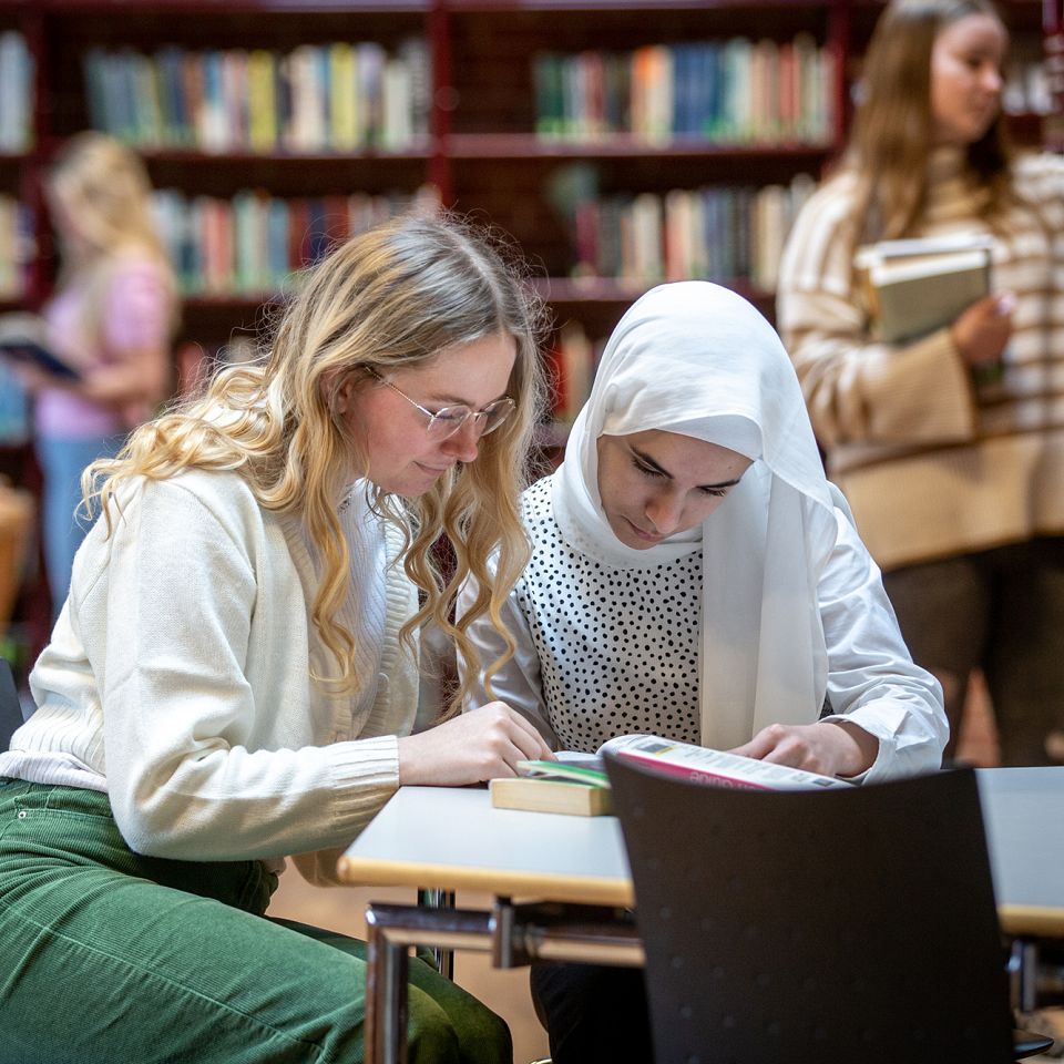 Venner, indsigt og afklaring i nye rammer - artikel fra Lemvig Gymnasium