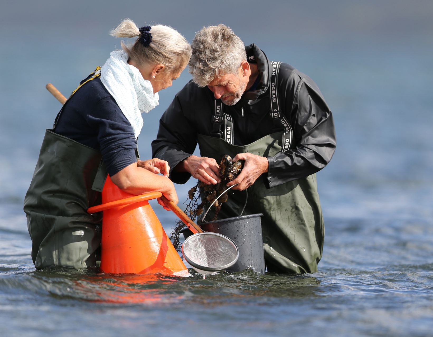 Østerssafari fra arrangeret af JyllandsAkvariet. Foto: Henrik Vinther Krogh